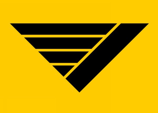 vi_logo_SS